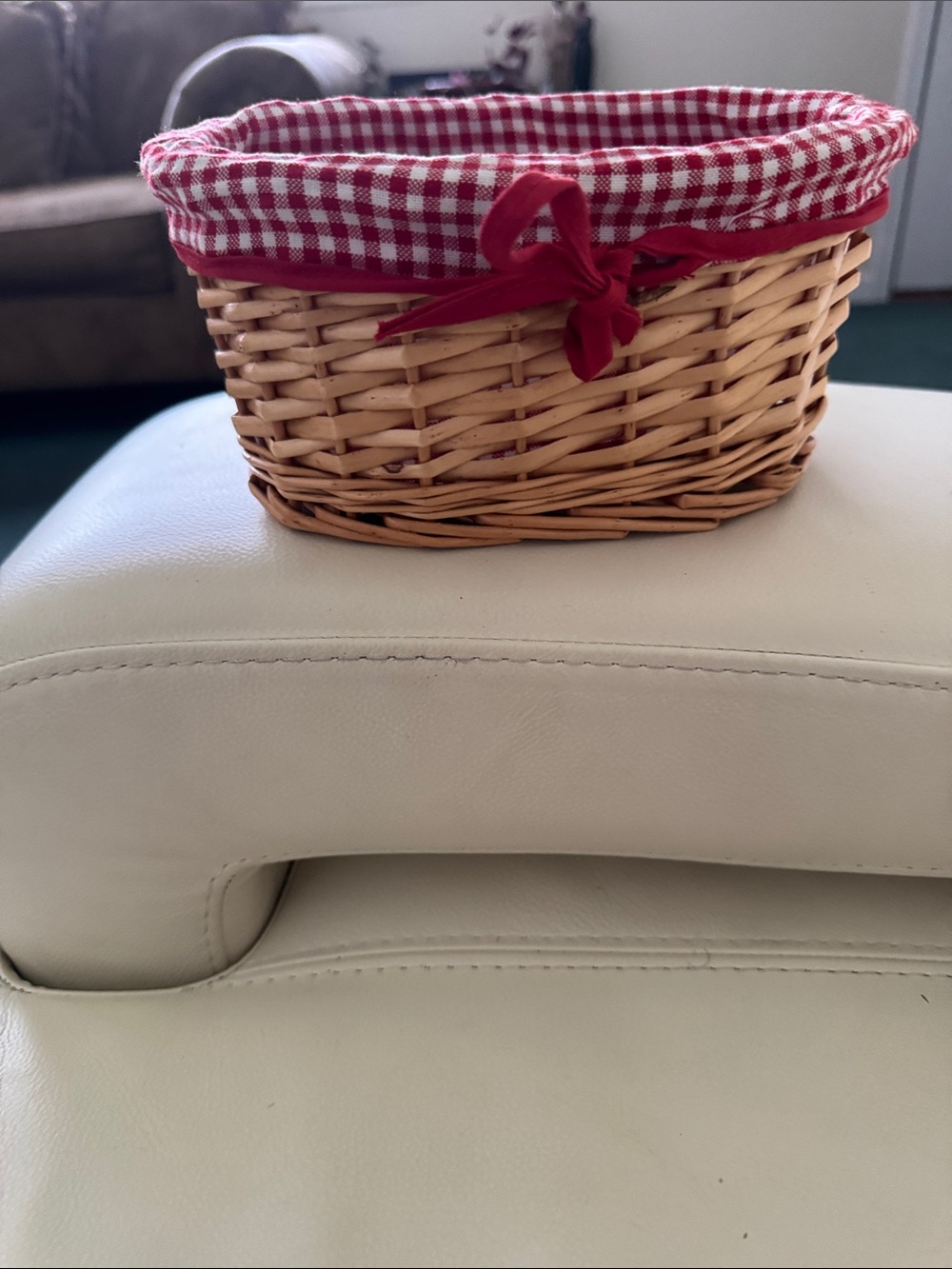 Woven Natural Wicker Basket with Red Gingham Liner - Home Accents